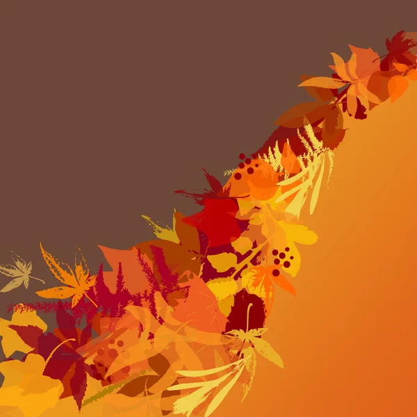 Hojas de otoño fondo — Vector de stock