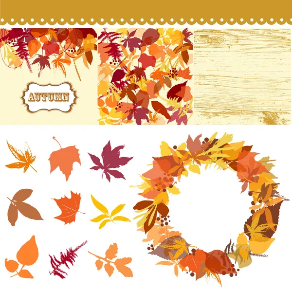 Autumn leaves set — Stock Vector