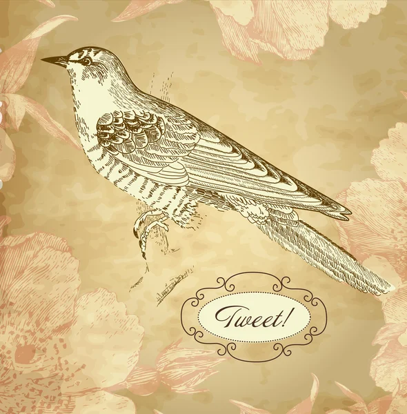 有鸟的古董卡 — 图库矢量图片