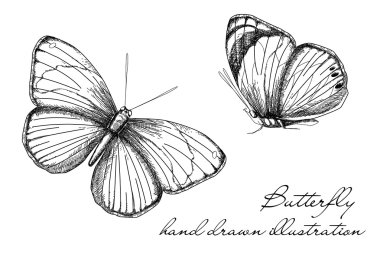 Vintage Butterfly Set