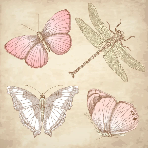 Mariposa vintage — Vector de stock