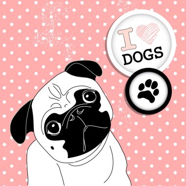küçük pug