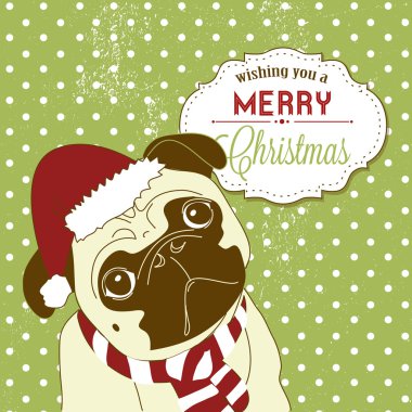 küçük pug