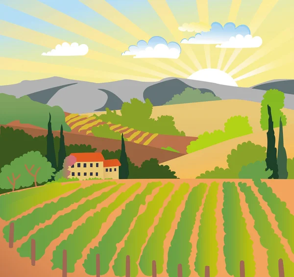 Vineyard and mountains — Stock Vector