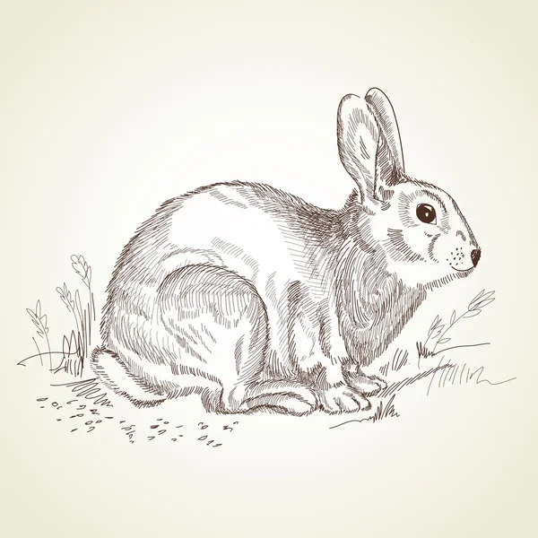 アンティークのイースターのウサギ — ストックベクタ