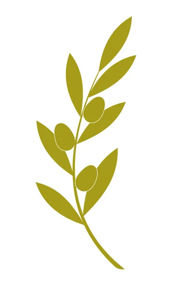 Оливкова гілка — стоковий вектор