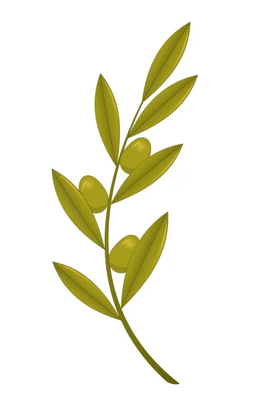 Olive branch — Stock Vector