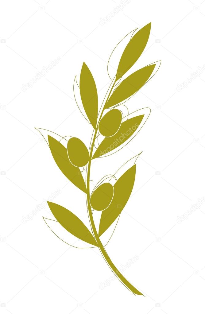 Olive branch