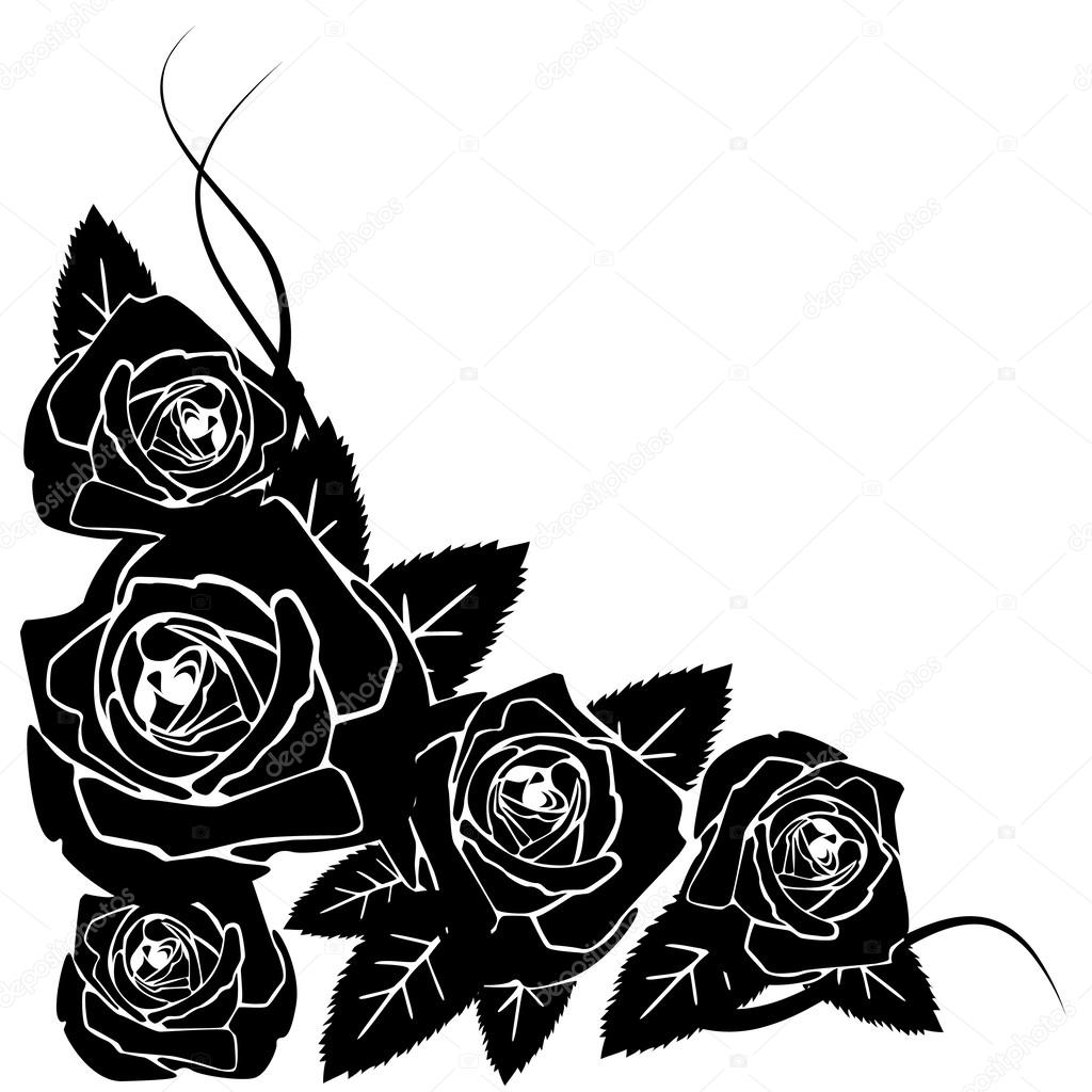 Black roses — Stock Vector © AlisaFoytik #35407013