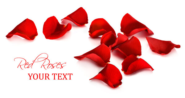 Red rose petals