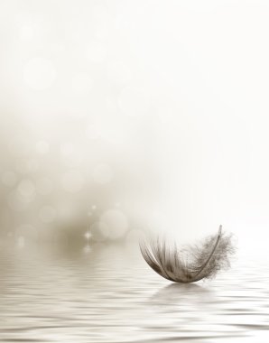 Condolence or sympathy design with a feather clipart