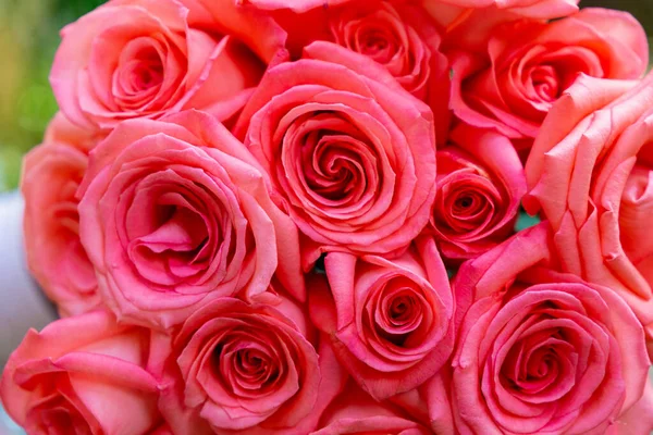 Bouquet Pink Roses Bouquet Holiday Large Bouquet Flowers Beautiful Roses — Stock Photo, Image