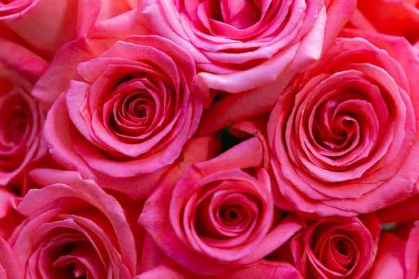 一束粉红色的玫瑰 一束节日用的花 一束鲜花 一束美丽的玫瑰 花朵的背景 一束红玫瑰 — 图库照片