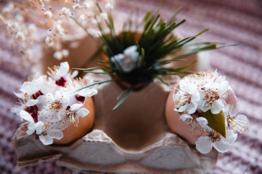 Yumurta kabuğunda çiçek ve çimen kompozisyonu yumurta paketinde