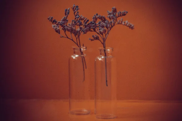 Bouquet in a glass vase, a branch of dried flowers on a yellow background, deco in the interior and still life, still life with a vase, dried flowers in a mini test tube, background on the desktop, flowers in the interior