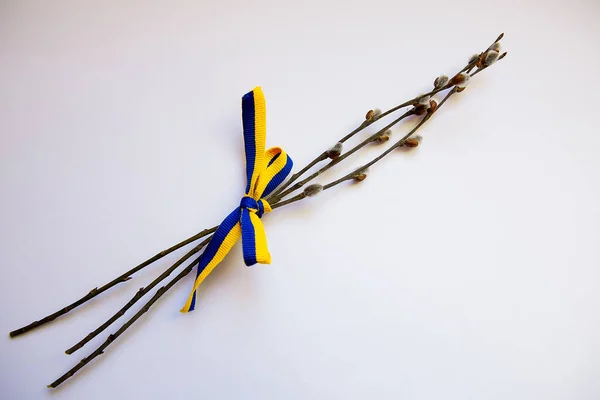 Bouquet Tiedyellow Blue Ribbon Ukraine — Foto de Stock