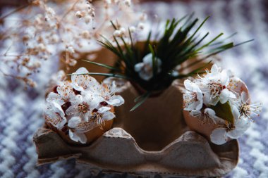 egg with a bow on a textile pink background with white dried flowers and white blooms