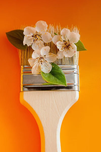 Spring Still Life Paintbrush Flowers — Stock Photo, Image