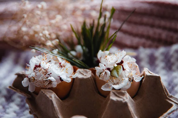 flowers and herbs in eggshell on a pink background next to a white dried flower