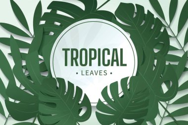 Tropik yapraklar pankart. Yeşil duvar arka planında canavar yaprakları var. Selamlama, kartlar, dergiler, kapaklar, posterler ve afişler vs. oluşturmak için model ve şablonlar. vektör illüstrasyonu