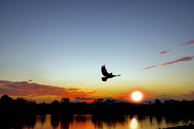 Nehir manzarasında güzel bir siluet gün batımı. Romantik gün batımı Dramatik gün batımı özgürlük kavramı.  