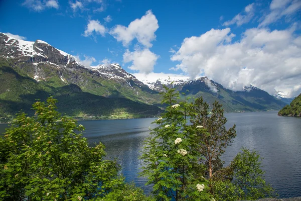 Noruega en mayo — Foto de Stock