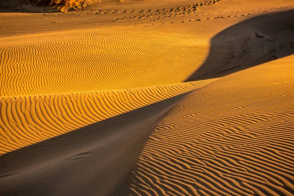 Sanddünen Aus Der Sahara — Stockfoto