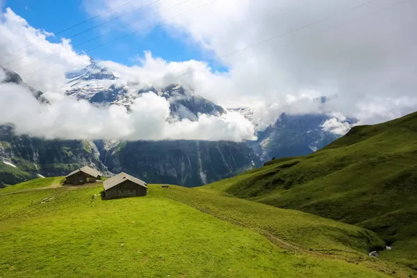 Cette Vue Spectaculaire Est Depuis Paradis Perché Grindelwald Suisse — Photo