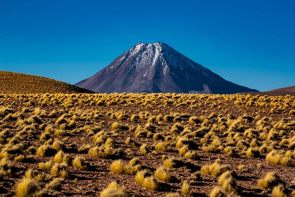 Vulkaan Atacama Woestijn Chili — Stockfoto