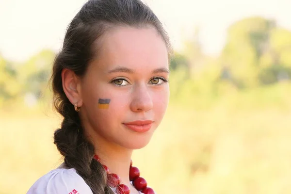 Beautiful Ukrainian Girl National Costume Vyshyvanka Field Sunset Celebrating Victory — Foto de Stock