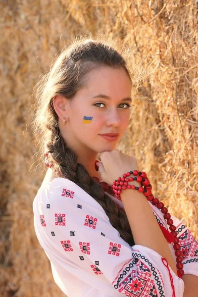 Beautiful Ukrainian Girl National Costume Vyshyvanka Field Sunset Celebrating Victory — ストック写真