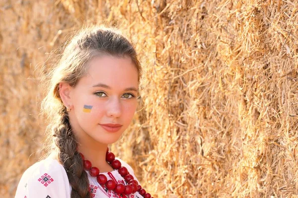 Beautiful Ukrainian Girl National Costume Vyshyvanka Field Sunset Celebrating Victory — Foto de Stock