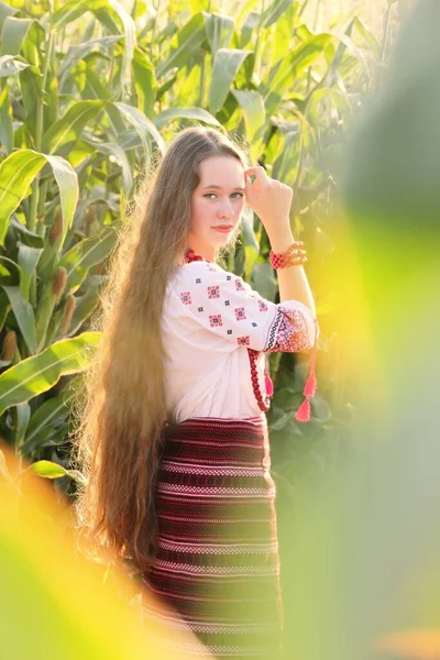 Όμορφη Ουκρανή Κοπέλα Εθνική Φορεσιά Vyshyvanka Στο Πεδίο Κατά Ηλιοβασίλεμα — Φωτογραφία Αρχείου