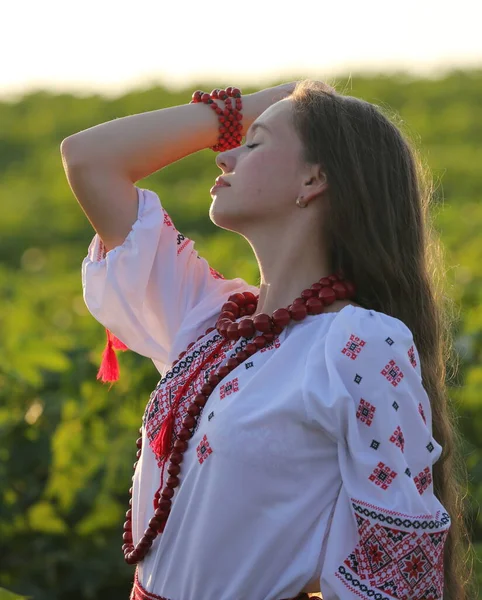 Beautiful Ukrainian Girl National Costume Vyshyvanka Field Sunset Celebrating Victory — Foto Stock