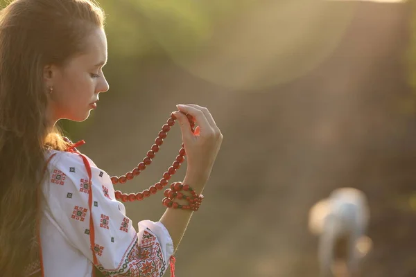 Beautiful Ukrainian Girl National Costume Vyshyvanka Field Sunset Celebrating Victory — Stockfoto