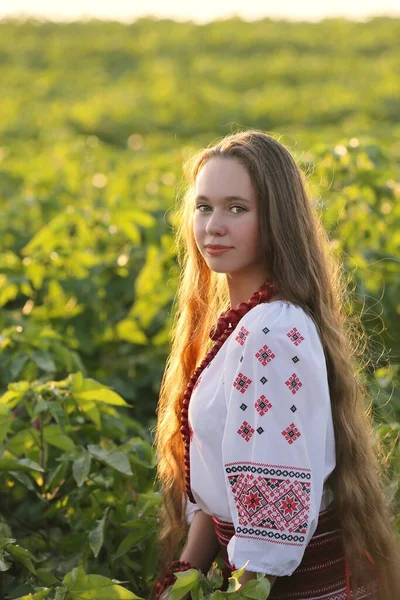 Hermosa Chica Ucraniana Traje Nacional Vyshyvanka Campo Puesta Del Sol — Foto de Stock