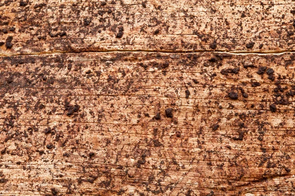 Struttura del legno — Foto Stock