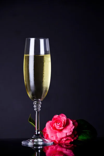 Champagne — Foto Stock