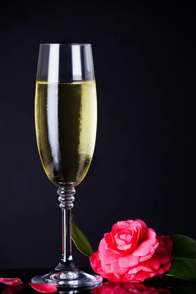 Valentine's Champagne — Stock Photo, Image