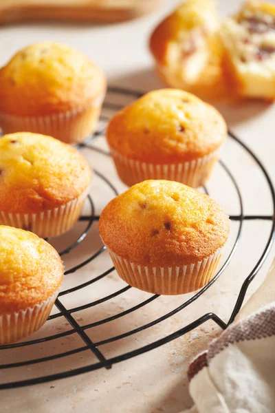 Ein Bündel Winziger Hausgemachter Muffins Mit Bio Kirschen lizenzfreie Stockbilder