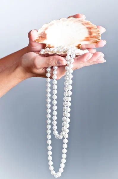 貝殻で真珠のネックレス — ストック写真