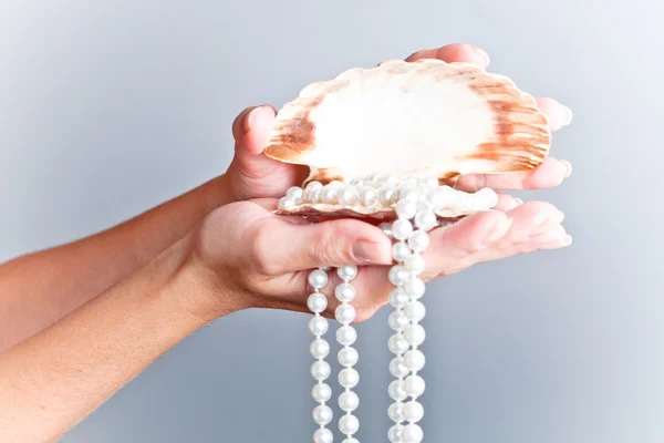 貝殻で真珠のネックレス — ストック写真