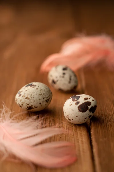 Quail eggs with feathers on a wooden background — Stock Photo, Image