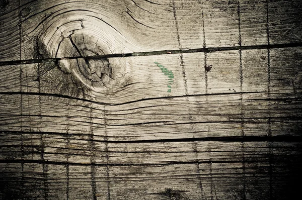 De houten plank in de sectie — Stockfoto