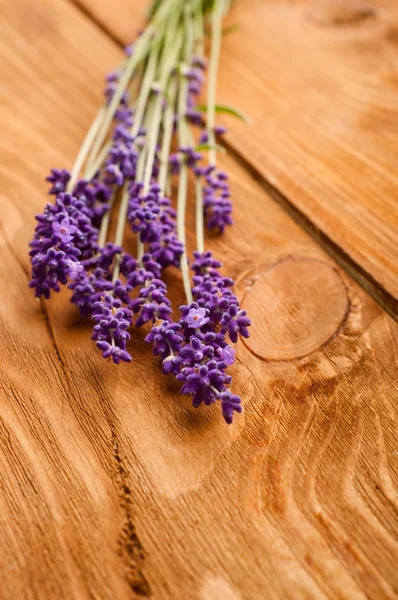 Flores de lavanda — Fotografia de Stock