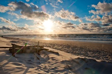 salida del sol en la playa con filial en primer plano