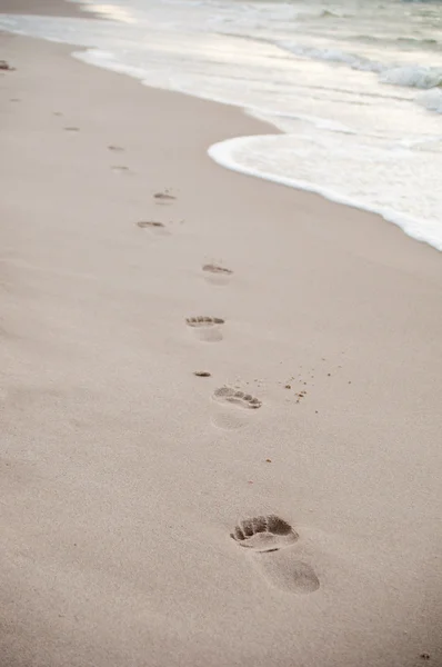 Fußabdrücke im nassen Sand des Strandes — Stockfoto