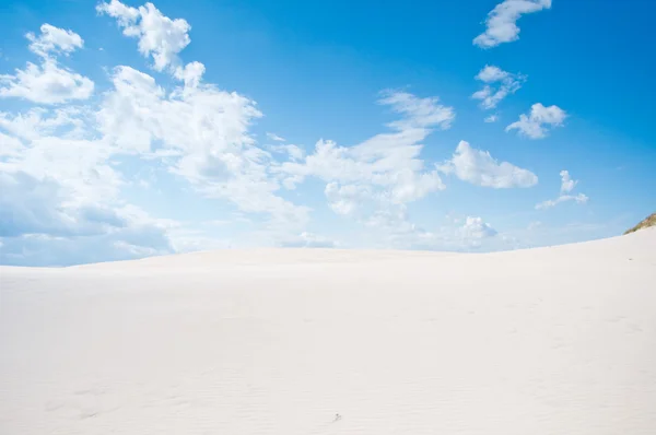 Beautiful Desert Landscape — Stock Photo, Image