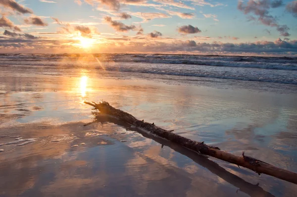 Salida del sol en la playa con rama en primer plano — Foto de Stock