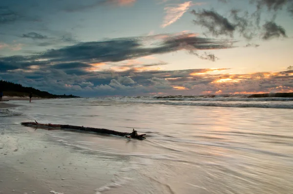 日出与前景中的分支的海滩上 — 图库照片